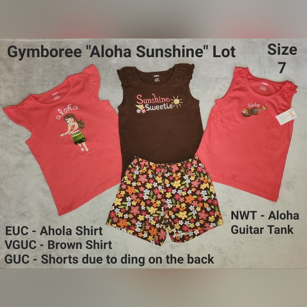 Gymboree "Aloha Sunshine" Clothing Lot